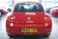 VOLKSWAGEN BEETLE SPORT TDI - 3424 - 8